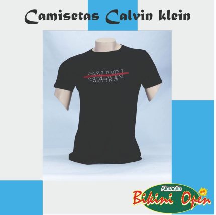 Camiseta 2